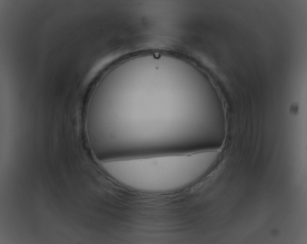 X0000095531214200712140926