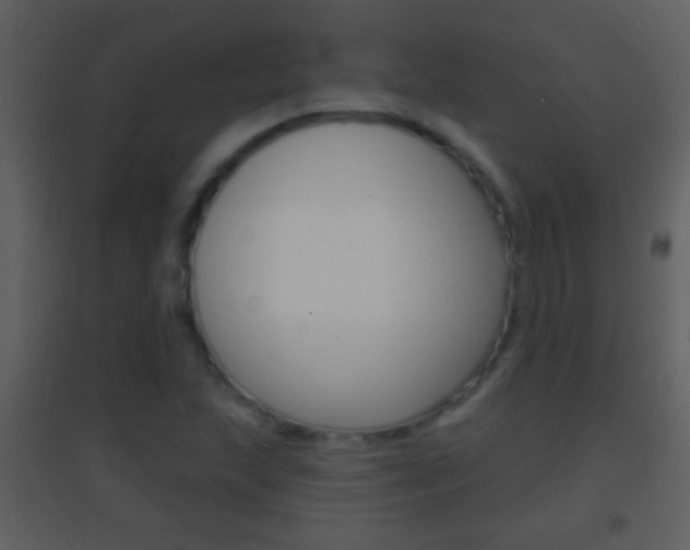 X0000095531215200712140926