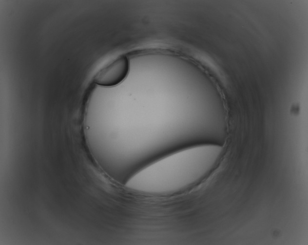 X0000095531216200712140926