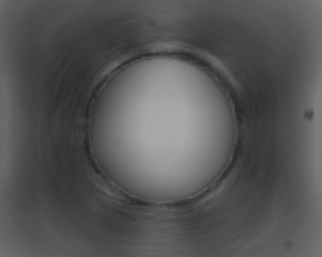 X0000095531217200712140926