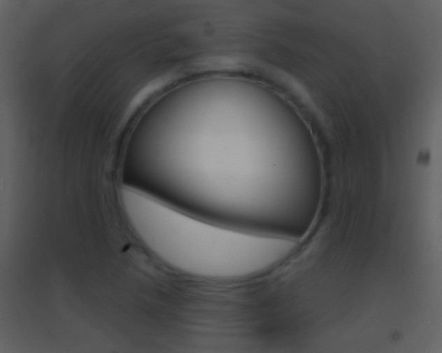 X0000095531218200712140927