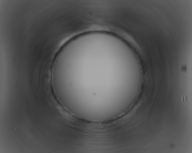 X0000095531220200712140927
