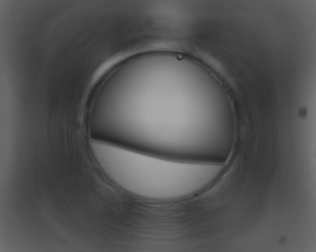 X0000095531222200712140927
