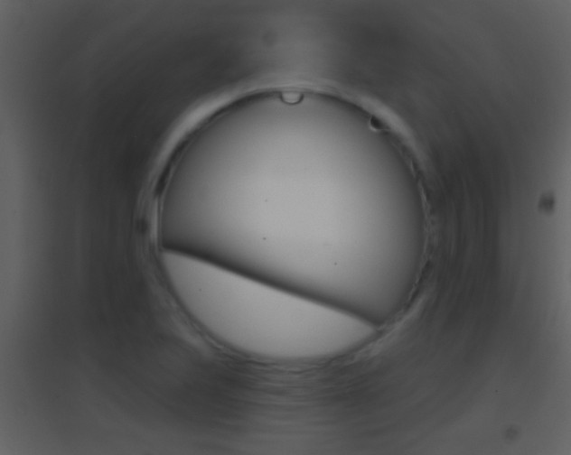 X0000095531223200712140927