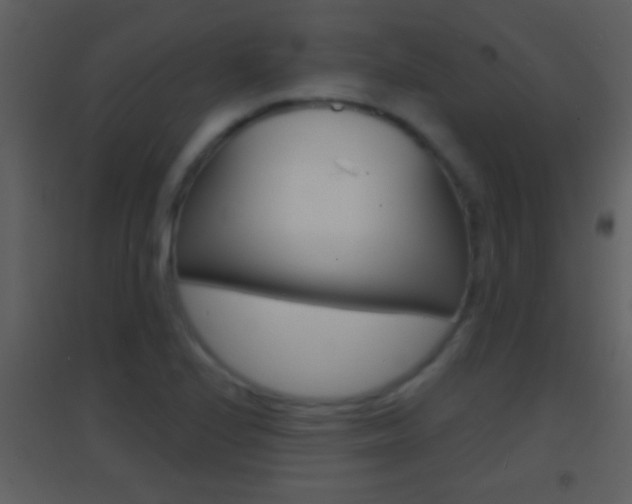 X0000095531224200712140927