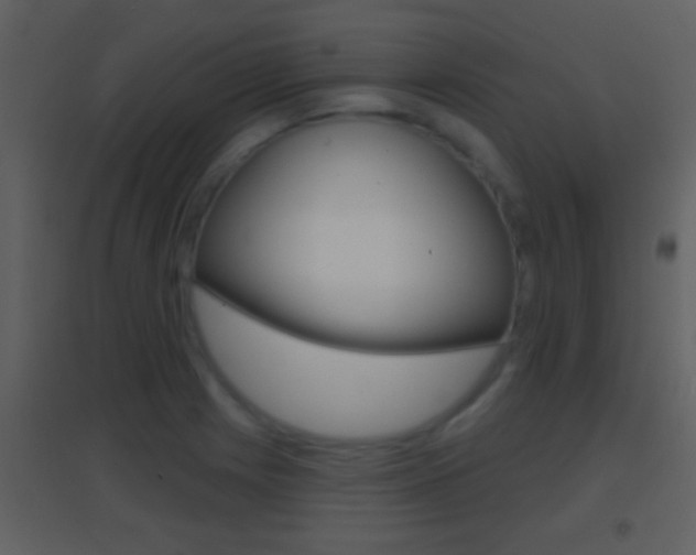X0000095531225200712140927