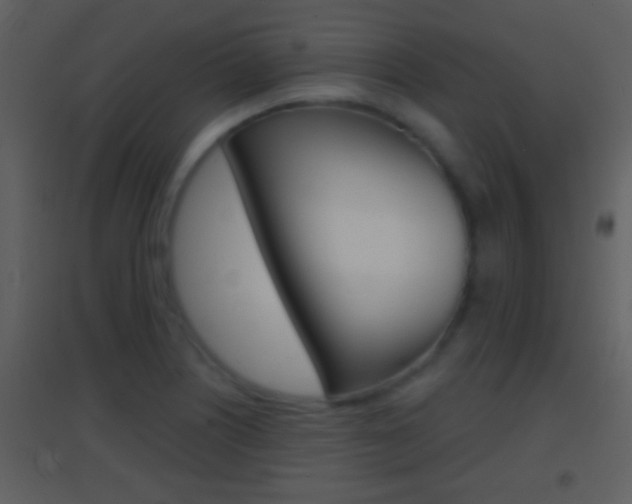 X0000095531226200712140927