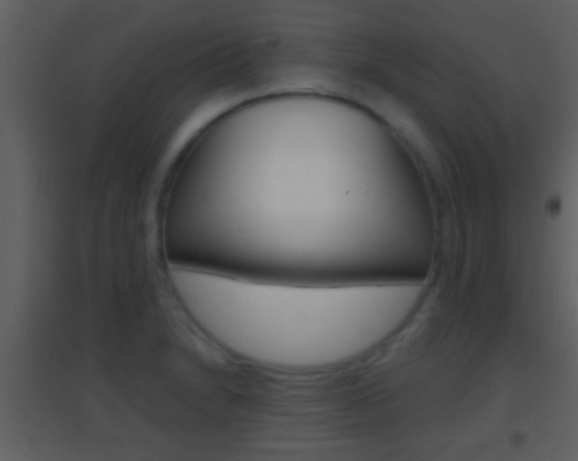 X0000095531230200712140927