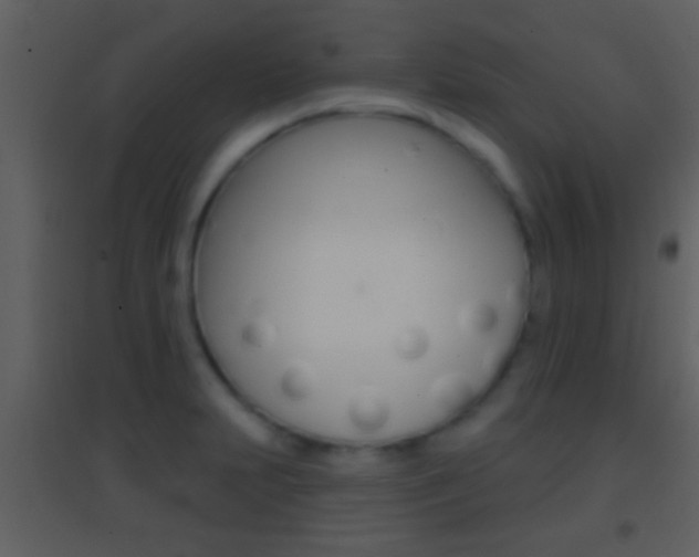 X0000095531231200712140927