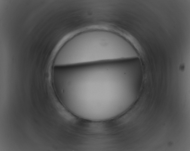 X0000095531232200712140927