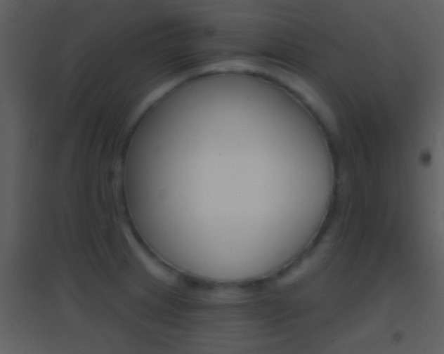 X0000095531233200712140927