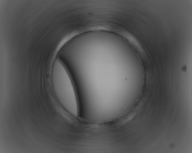 X0000095531234200712140927