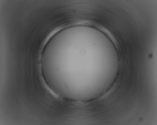 X0000095531235200712140927