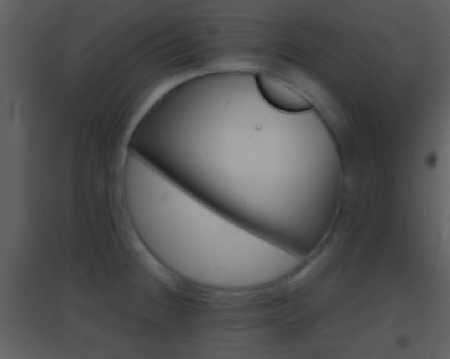 X0000095531236200712140927