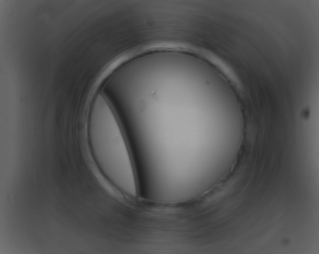 X0000095531237200712140927
