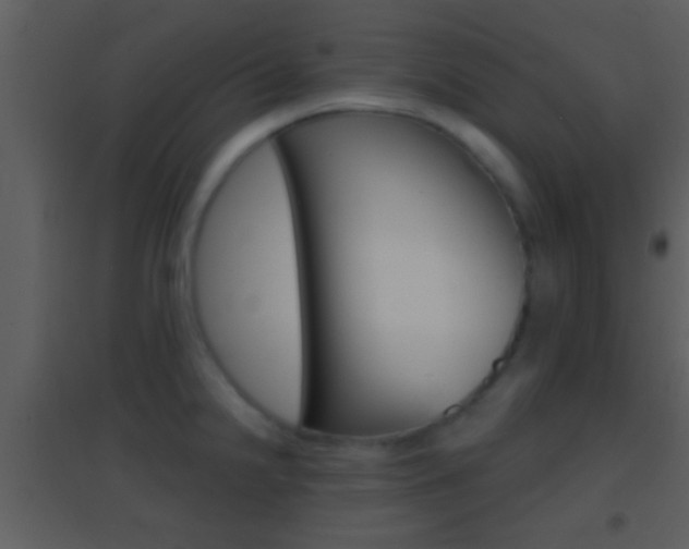 X0000095531238200712140927