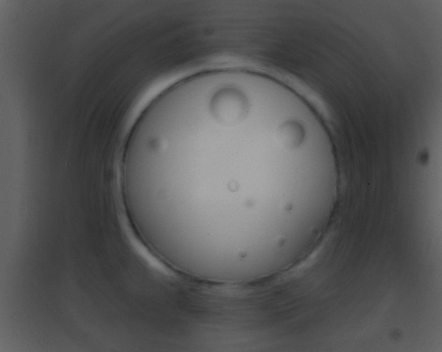 X0000095531239200712140927