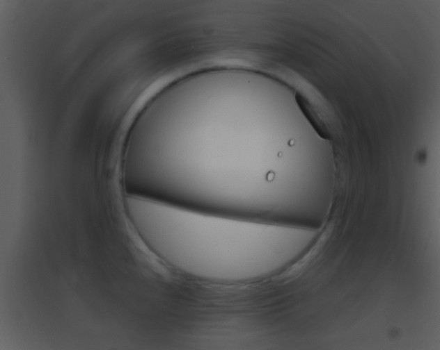 X0000095531240200712140927