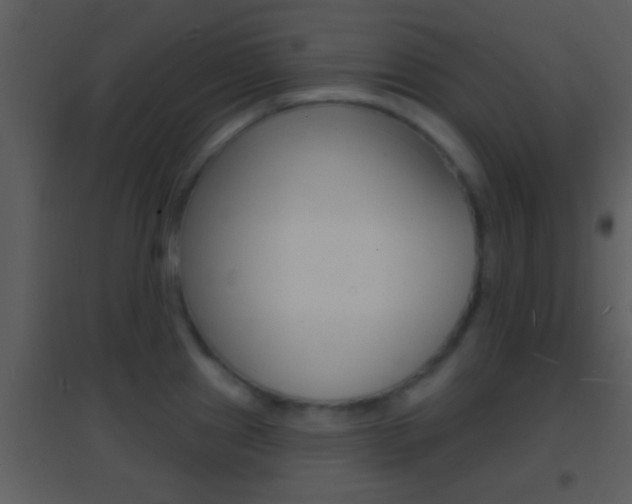 X0000095531241200712140927