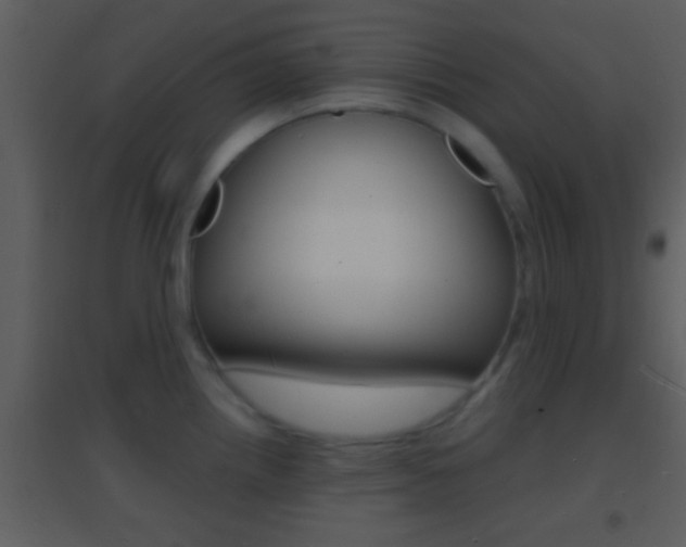 X0000095531242200712140927
