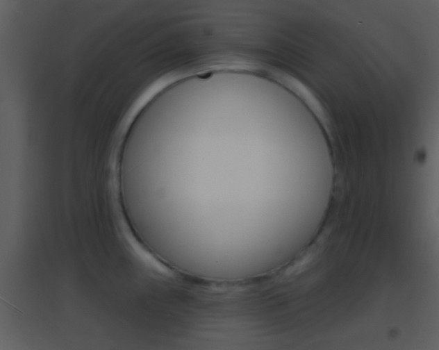 X0000095531243200712140927