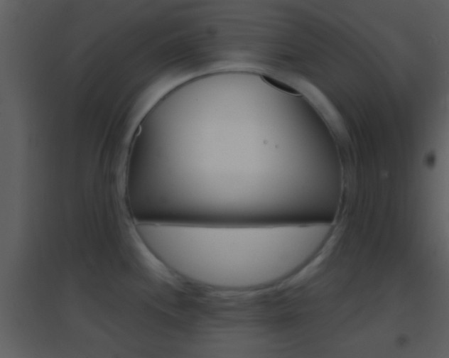 X0000095531244200712140927