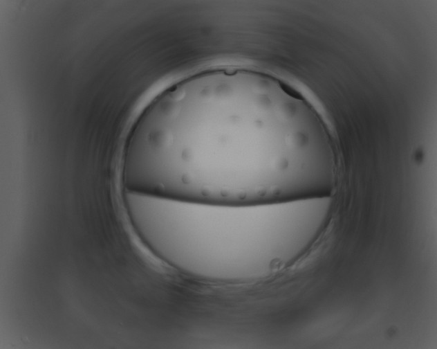 X0000095531245200712140927