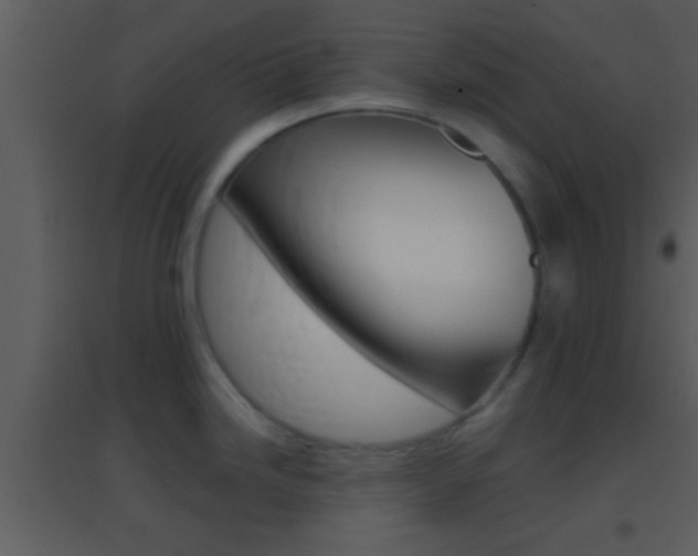 X0000095531246200712140927