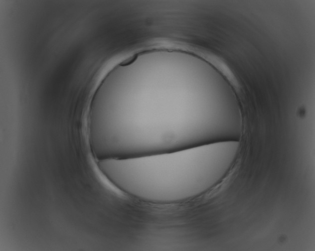 X0000095531247200712140927