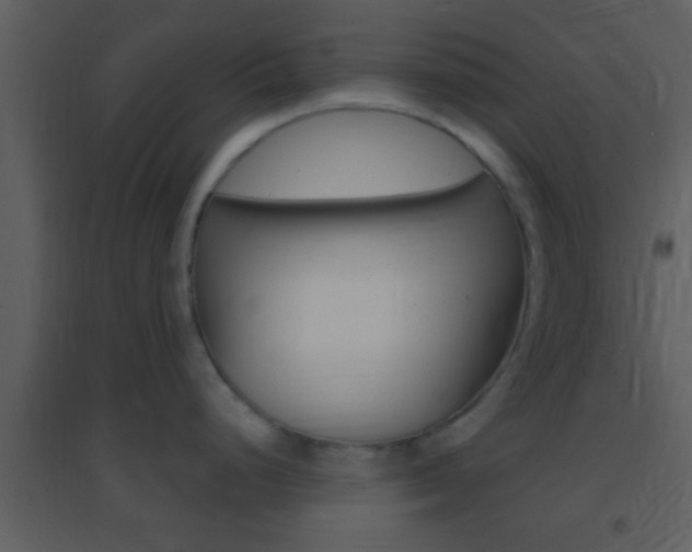 X0000095531248200712140927