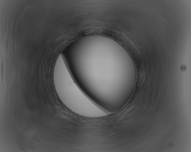X0000095531250200712140926
