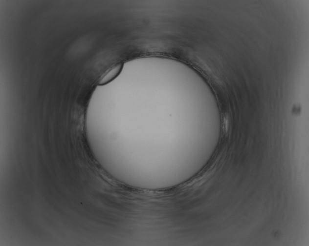 X0000095531251200712140926