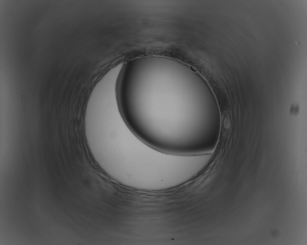 X0000095531252200712140926