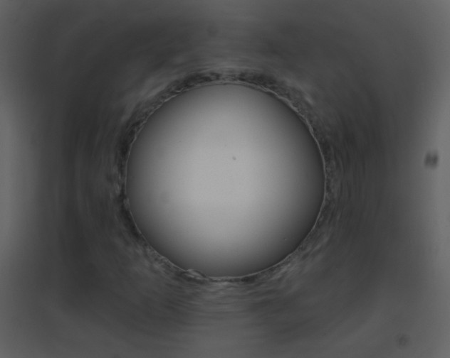 X0000095531253200712140926