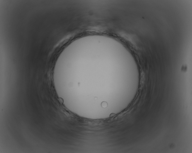 X0000095531254200712140926