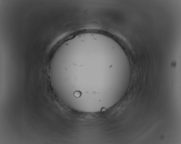 X0000095531255200712140926