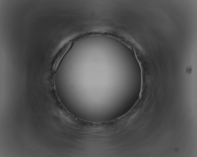 X0000095531256200712140926
