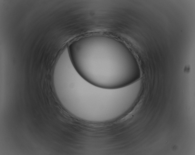 X0000095531257200712140926
