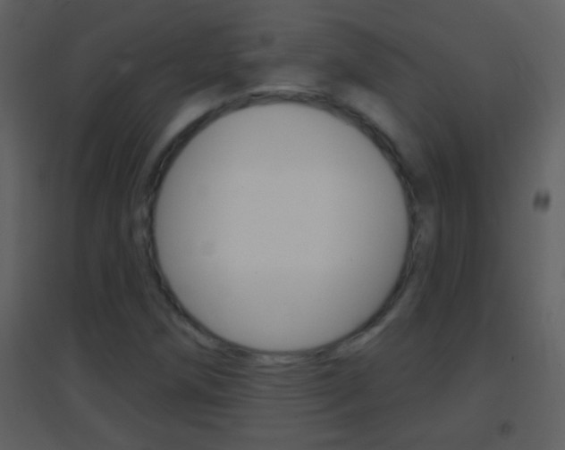 X0000095531258200712140926