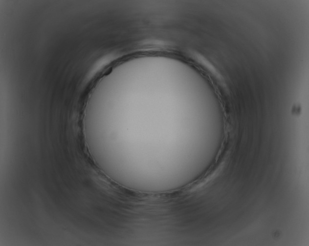 X0000095531259200712140926