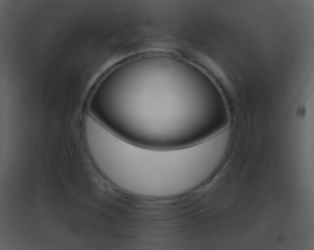 X0000095531260200712140926