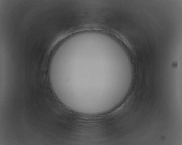 X0000095531261200712140926