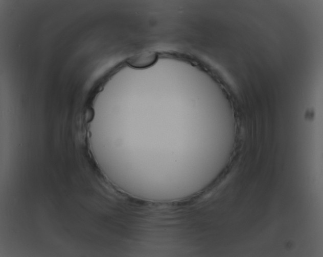 X0000095531262200712140926