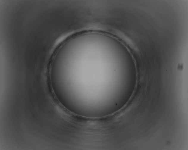 X0000095531264200712140926