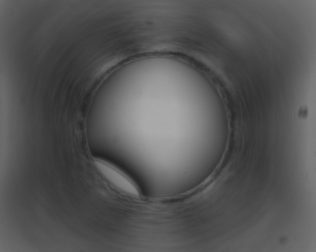 X0000095531265200712140926
