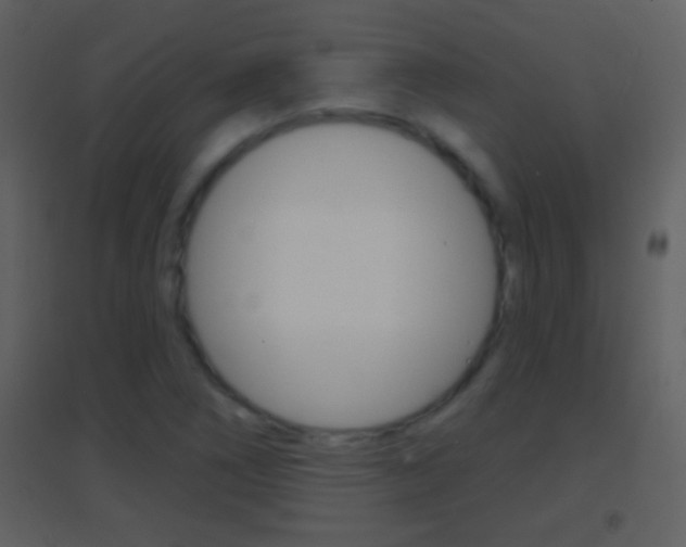 X0000095531266200712140926