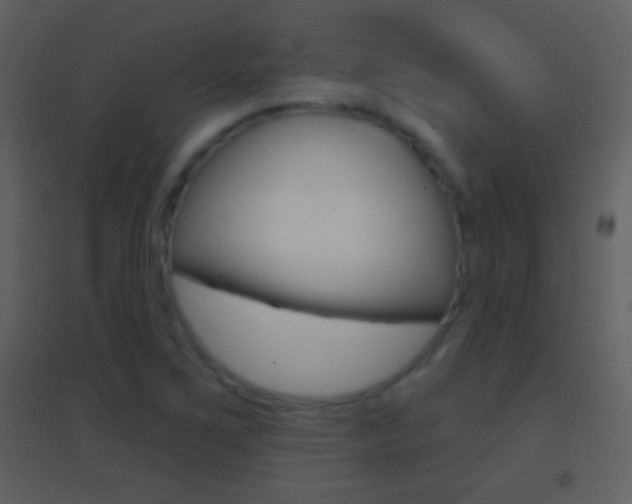 X0000095531267200712140926