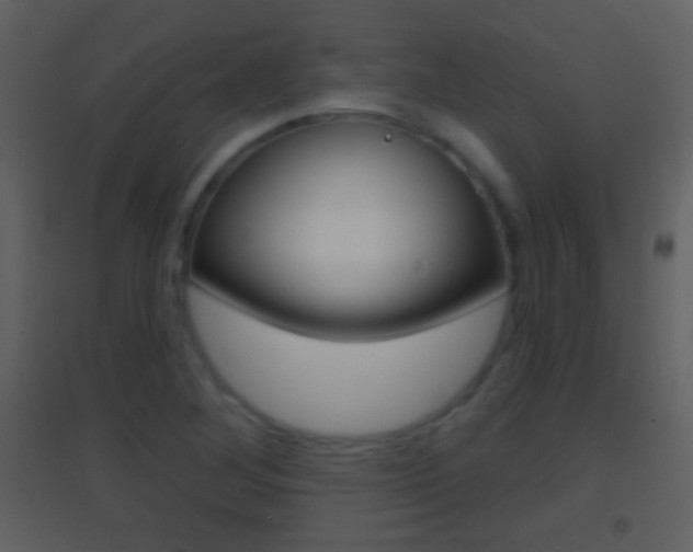 X0000095531268200712140926