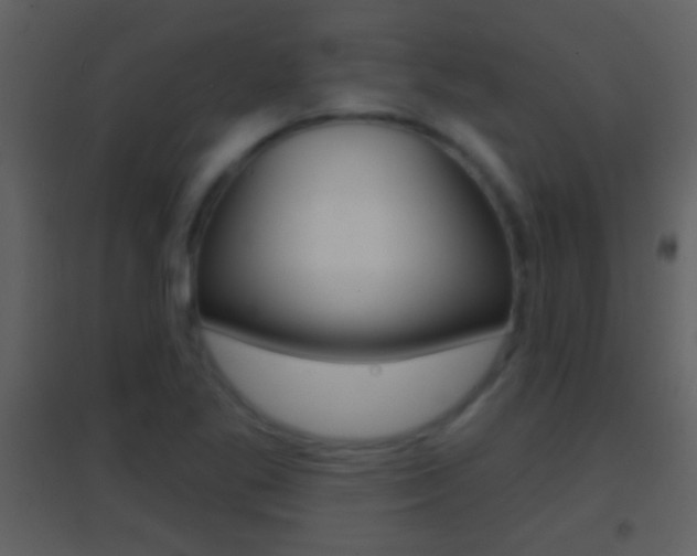 X0000095531269200712140926