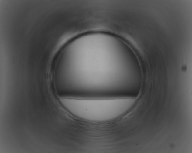 X0000095531270200712140926